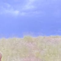 moana.ln