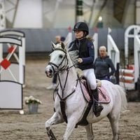 alkuperäinen ääni