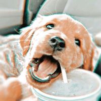 __.edit__celebrity.__