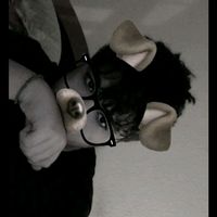 jorgo_stgt1