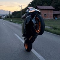 _pavelic_