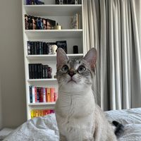 sweetbooks_by_mel