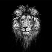 motivation_positive2