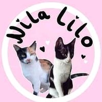 kleine_glitzerpfoetchen