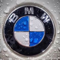 bmw.bond.dezmembrari