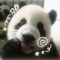 pandabearedits