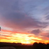 original sound - lineceyytous