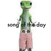 songofthedaygecko