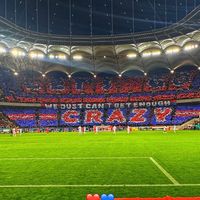 fcsb_fan01