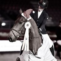 showjumping.alm