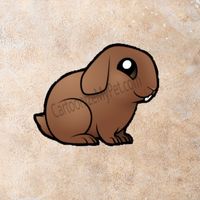 thebunnyflop