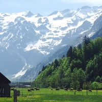 getbacktonature0