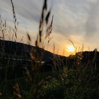 sunet original