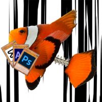 original sound - Editor_Fishy