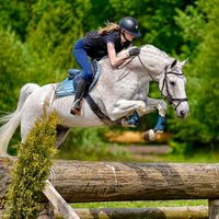 showjumping_roosv