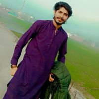 umarrajpoot7292