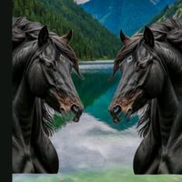 wwwtiktokelsolitario