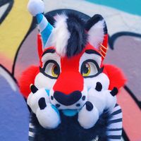 akushi.bluepaws