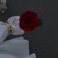 beyxae
