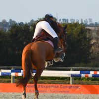 manon_heinrich