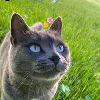 et bah alors on est nul