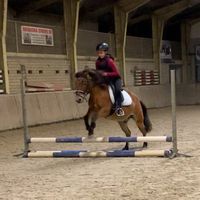 isa_pony15