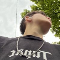 voicu_