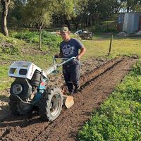 sebastiao_o_mecanico_