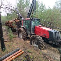 dźwięk oryginalny