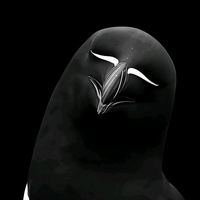 za.ki_cr7