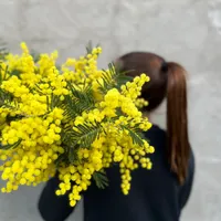 original sound - mmagda2301