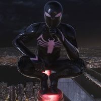spidercata06