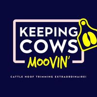 keepingcowsmoovin