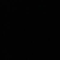 elvir_59