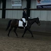 elineoverdevest