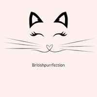 britishpurrfection