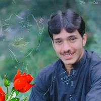 qaribullahbetaab