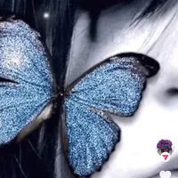 original sound - frashysr678