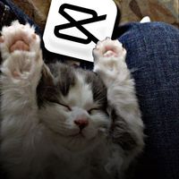 cc.xxeditor
