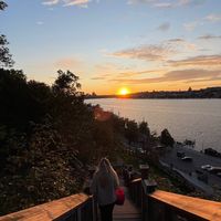 megan.magnusson