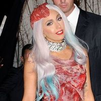 ladygagassmeatdress