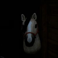 hobbyhorser0110