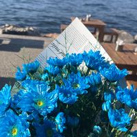 _mylkitap_