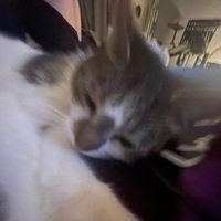 original sound - Cloud