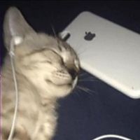melxnch0ly_