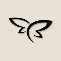 basicallyboxingbrand