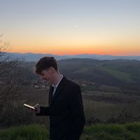 ilan_d31