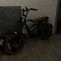 flavius_zyx78