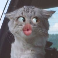 postez.orice.oricand