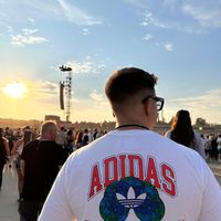 leosblog_vdw